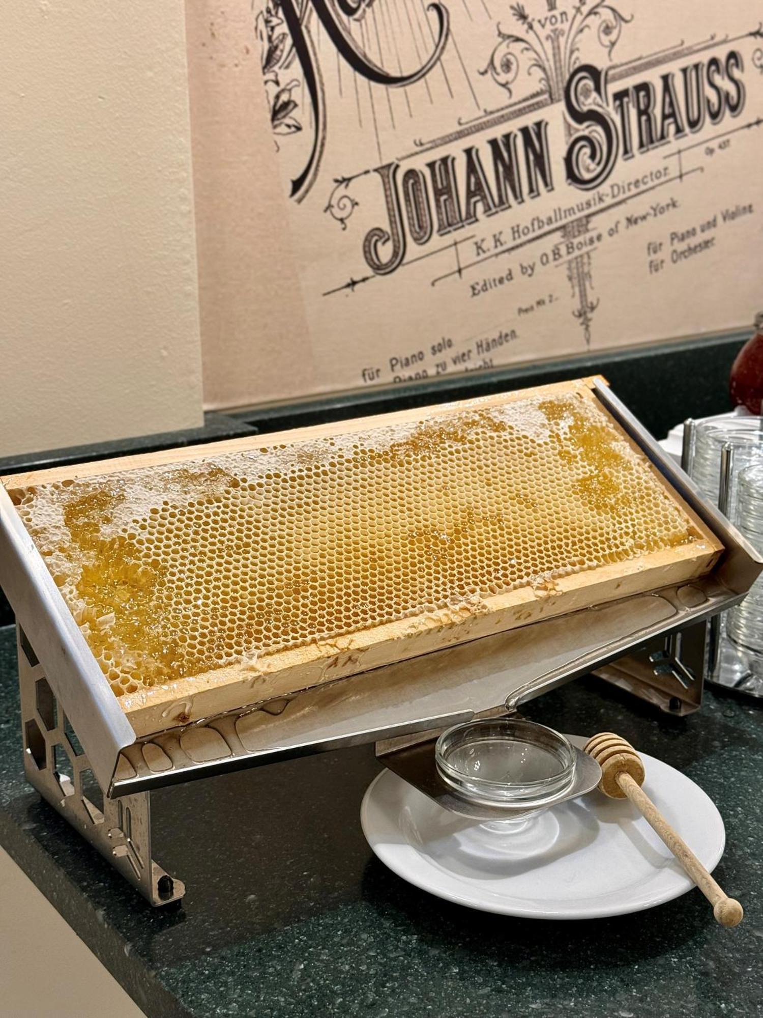 Hotel Johann Strauss Wien